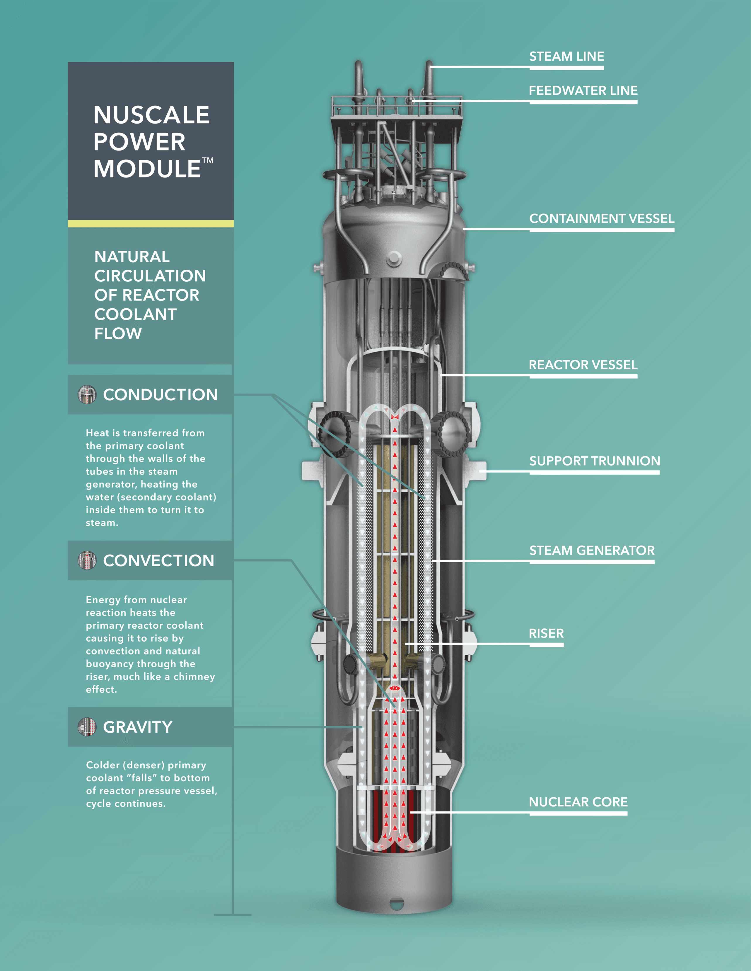 NuScale Power Module